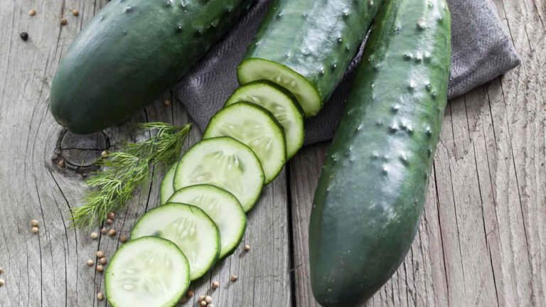Cucumber | కీర దోసకాయ ఆరోగ్యానికి వరం.. దీని వ‌ల‌న ఎన్ని లాభాలు ఉన్నాయో తెలుసా?