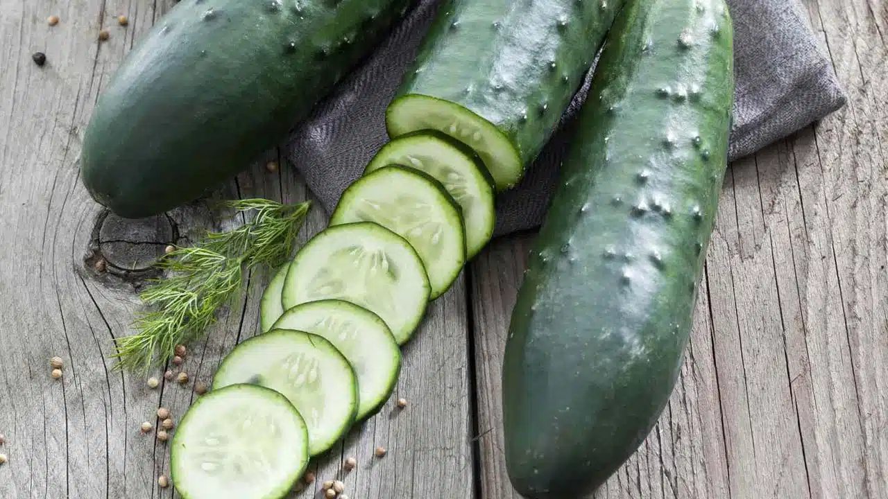 Cucumber | కీర దోసకాయ ఆరోగ్యానికి వరం.. దీని వ‌ల‌న ఎన్ని లాభాలు ఉన్నాయో తెలుసా?