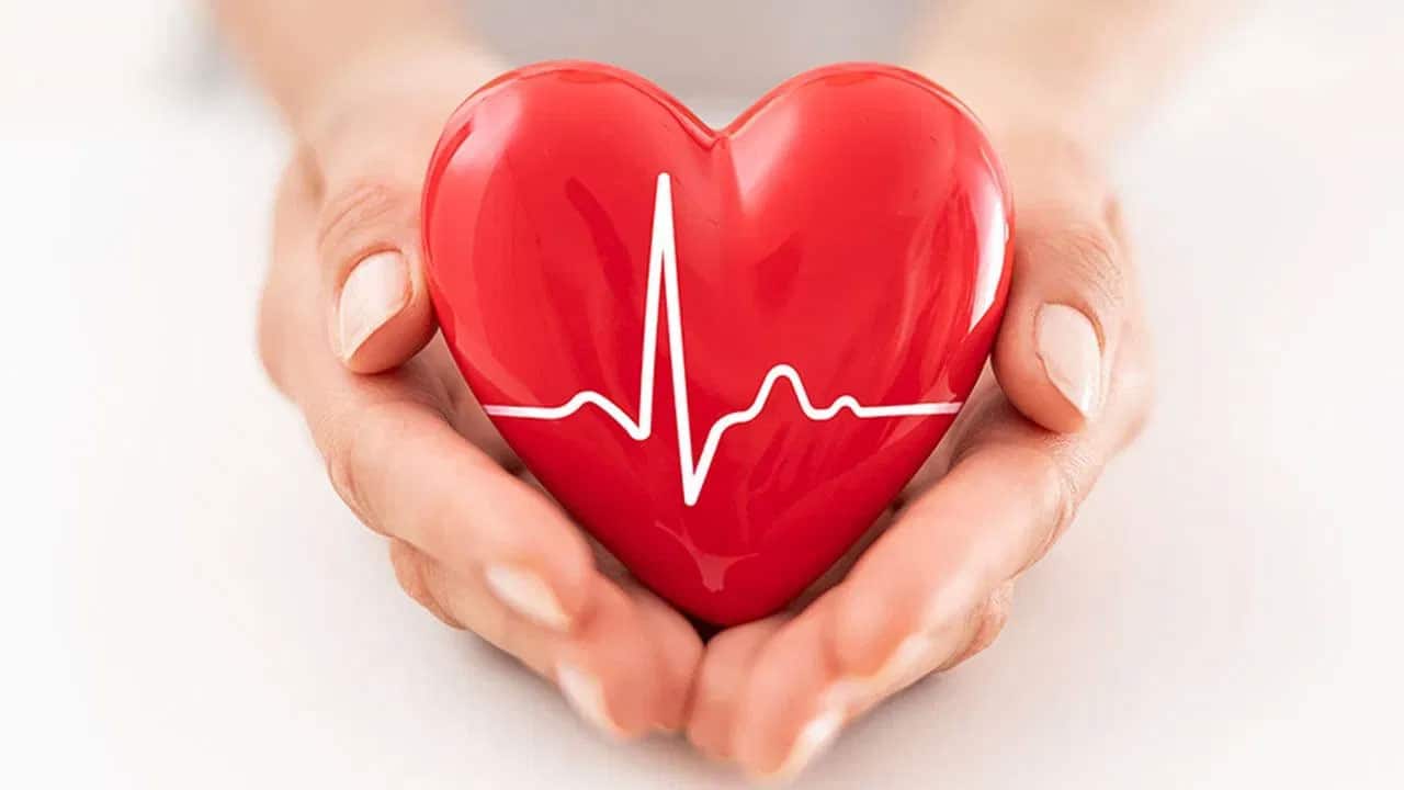 Heart | గుండెను ఆరోగ్యంగా ఉంచే ఫలాలు ఇవే .. పైసా ఖర్చు లేకుండానే హార్ట్‌ను కాపాడుకోండి