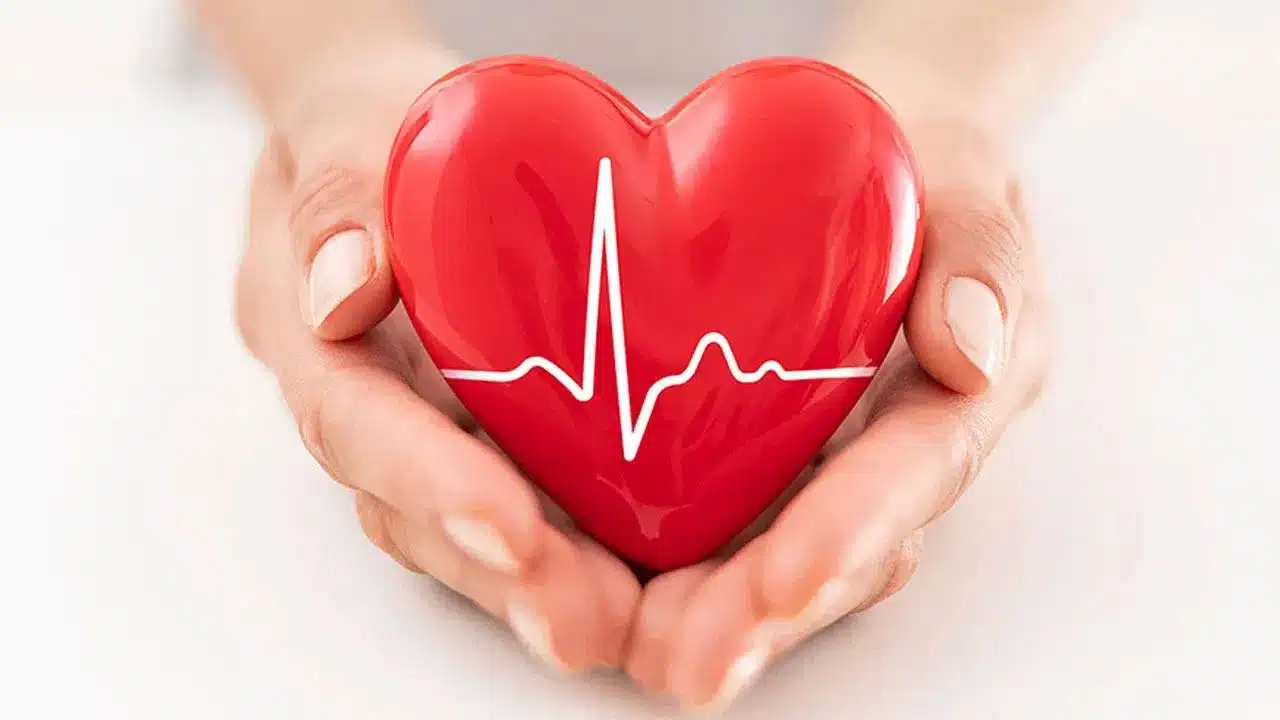 Heart | గుండెను ఆరోగ్యంగా ఉంచే ఫలాలు ఇవే .. పైసా ఖర్చు లేకుండానే హార్ట్‌ను కాపాడుకోండి