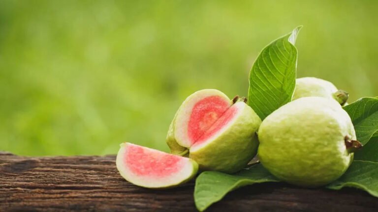 Guava  | జామ పండు నుండి కాలేయ క్యాన్సర్‌కు ఔషధం? ..డెలావేర్ విశ్వవిద్యాలయం శాస్త్రవేత్తల సెన్సేషన్