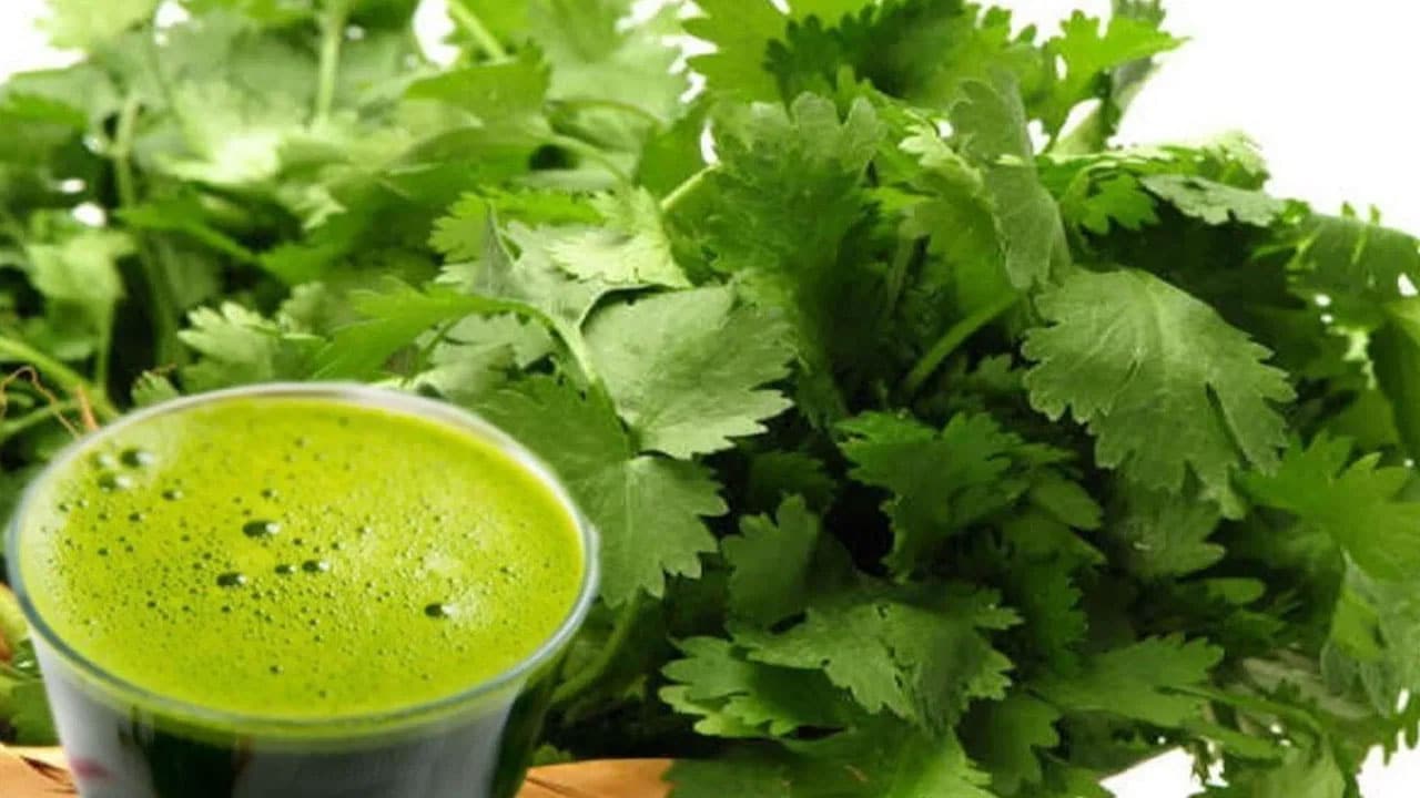 Coriander | కొత్తిమీర జ్యూస్ తో ఎన్ని లాభాలు ఉన్నాయో తెలుసా… మెరిసే అందం మీ సొంతం..!