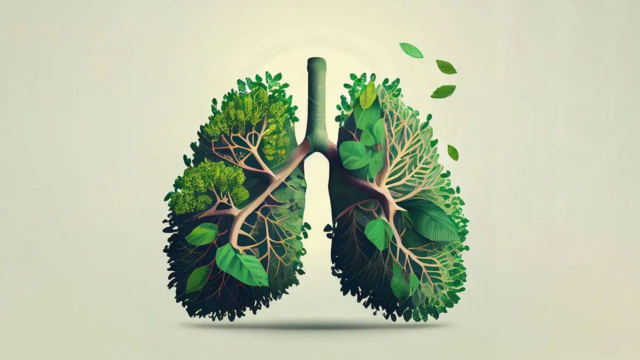 Lungs | ప్రజలకు హెచ్చరిక.. ఈ ల‌క్ష‌ణాలు క‌నిపిస్తే ఏ మాత్రం నిర్ల‌క్ష్యం చేయోద్దు..!