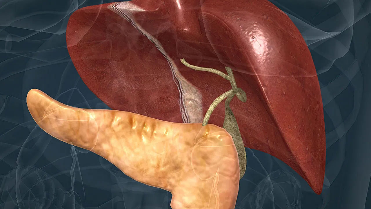 Fatty Liver | ఫ్యాటీ లివర్ సంకేతాలు.. ప్రాథమిక దశలో కనిపించని ముప్పు
