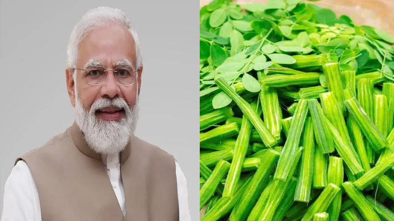 PM Modi | ప్రధాని మోదీ ఫిట్నెస్ రహస్యం.. మునగాకు పరాఠా లో ఉన్న ఆరోగ్య రహస్యాలు!