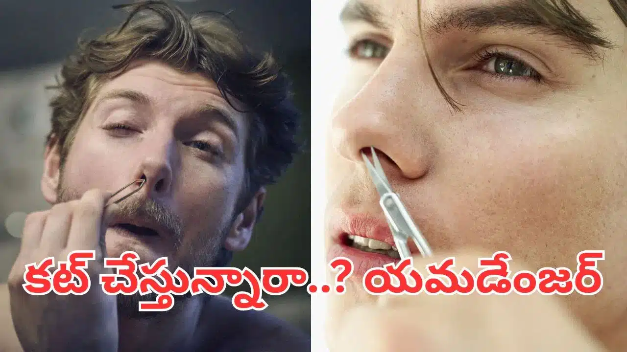 Nose | ముక్కులోని వెంట్రుక‌ల‌ని క‌ట్ చేసే ప్ర‌య‌త్నం చేస్తున్నారా.. ఇది చాలా డేంజ‌ర్