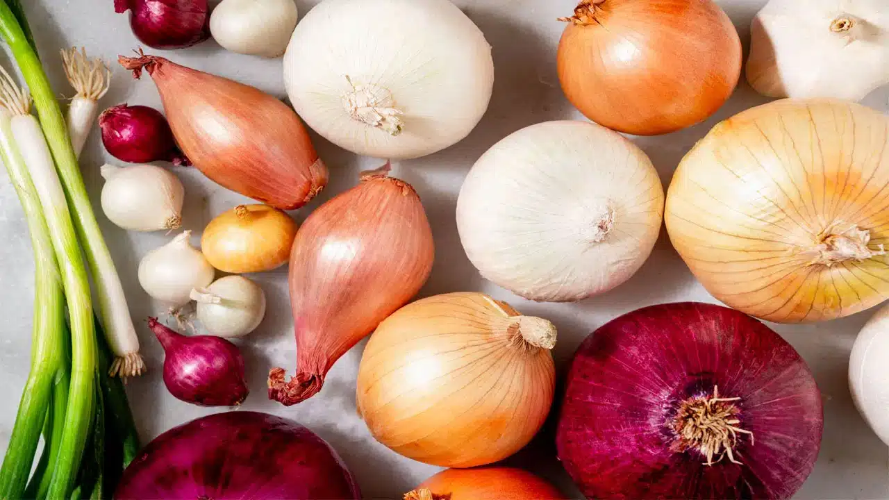 Onions | నల్ల మచ్చలు, బూజు పట్టిన ఉల్లిపాయలు తినడం ప్రాణాంతకమే .. నిపుణుల హెచ్చరిక