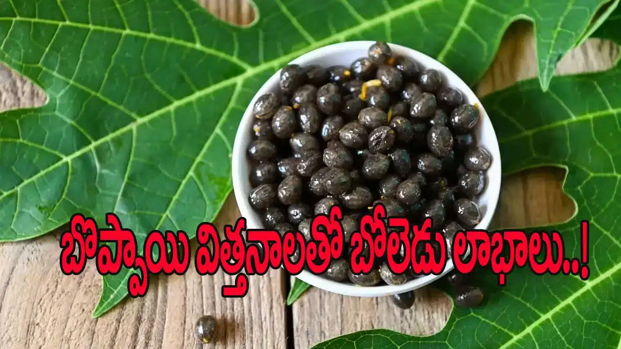 Papaya | బొప్పాయి గింజల అద్భుత ప్రయోజనాలు .. ఆరోగ్యానికి సహజ ఔషధం
