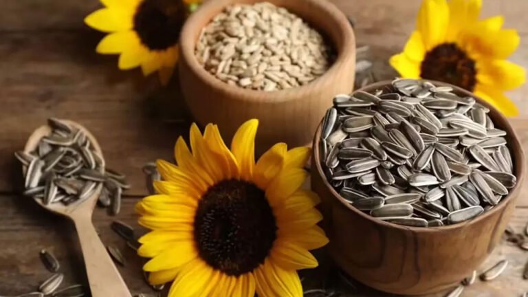 Sunflower Seeds | పొద్దు తిరుగుడు విత్తనాలు ఆరోగ్యానికి అద్భుతమైన వరం .. కొలెస్ట్రాల్‌ని త‌రిమికొట్టేస్తుంది..!
