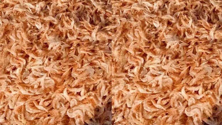 Dry Prawns | ఎండిన రొయ్యలతో అద్భుత ప్రయోజనాలు ఎన్నో.. ఒక్క‌సారి తింటే వ‌ద‌ల‌రు..!