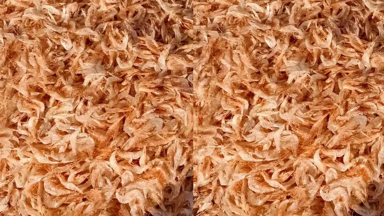 Dry Prawns | ఎండిన రొయ్యలతో అద్భుత ప్రయోజనాలు ఎన్నో.. ఒక్కసారి తింటే వదలరు..!