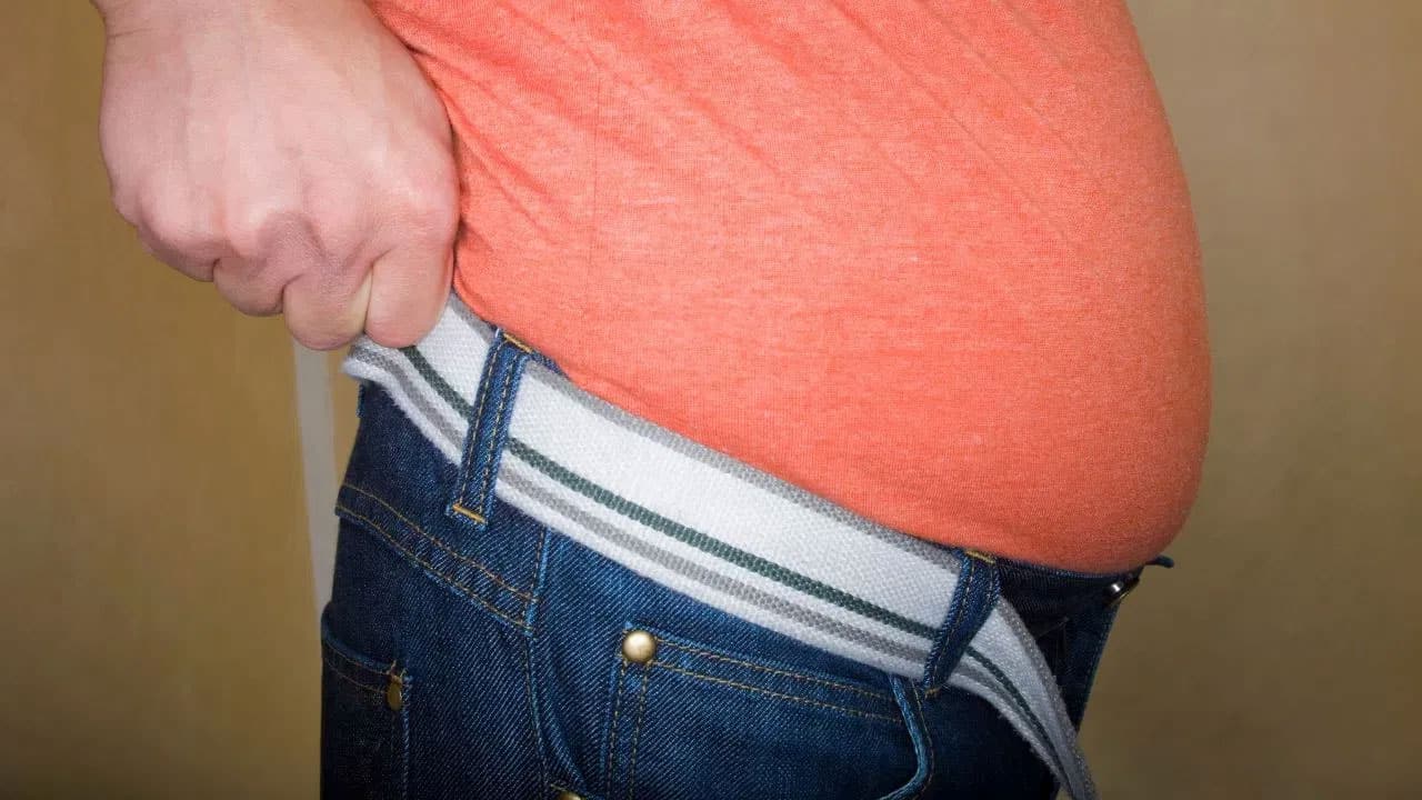 Belly Fat | బెల్లీ ఫ్యాట్ తగ్గించాలంటే ఈ ఆహారాలు మానేయండి .. ఇక ర‌మ‌న్నా రాదు..!