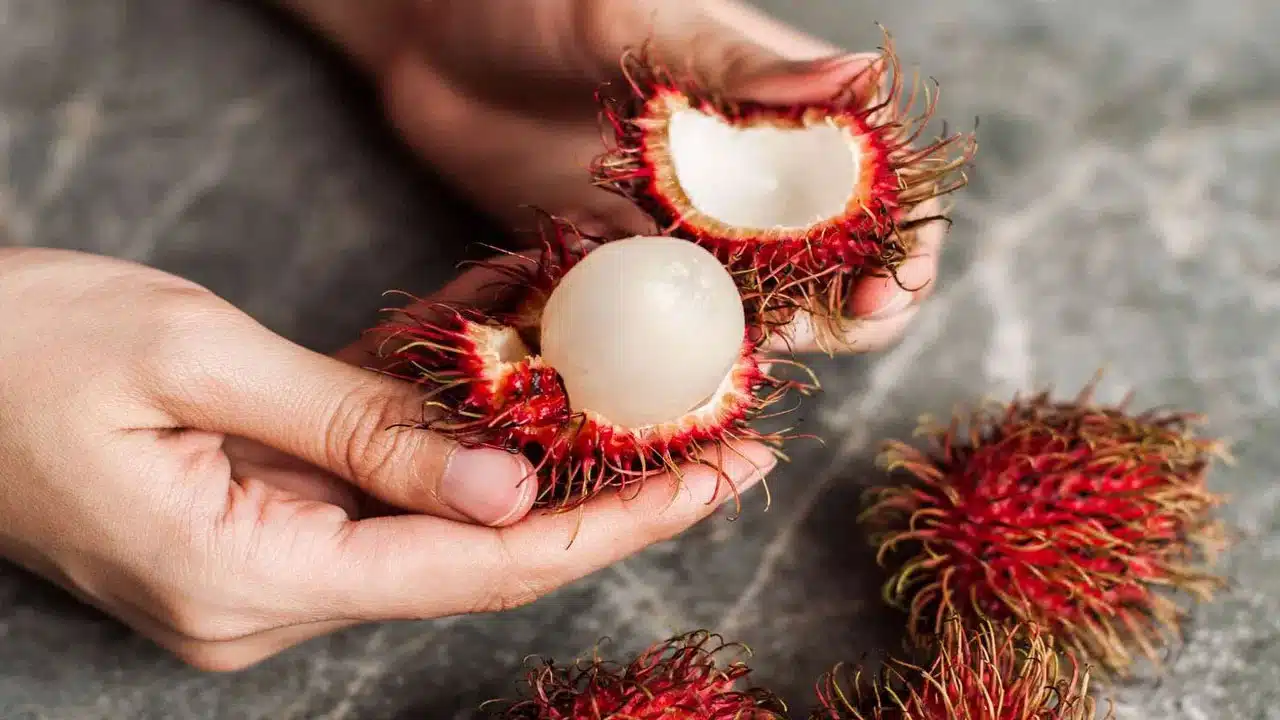 Rambutan | రాంబుటాన్ పండు ఆరోగ్య రహస్యాలు .. రోగనిరోధకత నుంచి క్యాన్సర్ నివారణ వరకు..
