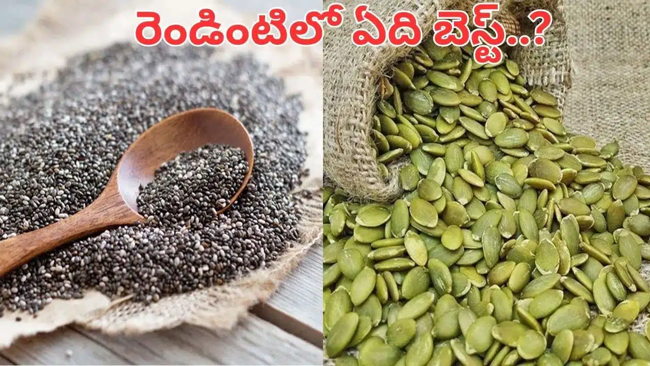 Chia Seeds vs Pumpkin Seeds | చియా vs గుమ్మడి గింజలు ఏవి బెస్ట్? .. నిపుణుల సూచన ఏంటి?