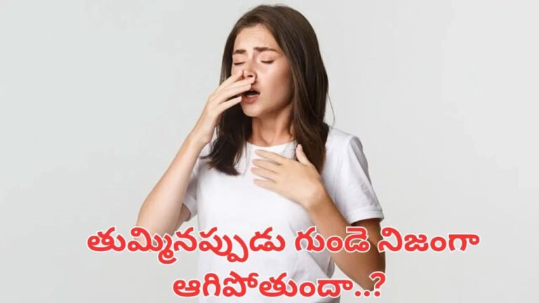 Heart | తుమ్మినప్పుడు గుండె ఆగిపోతుందా? .. వైద్య నిపుణులు చెబుతున్న అసలు విషయం ఇదే.!