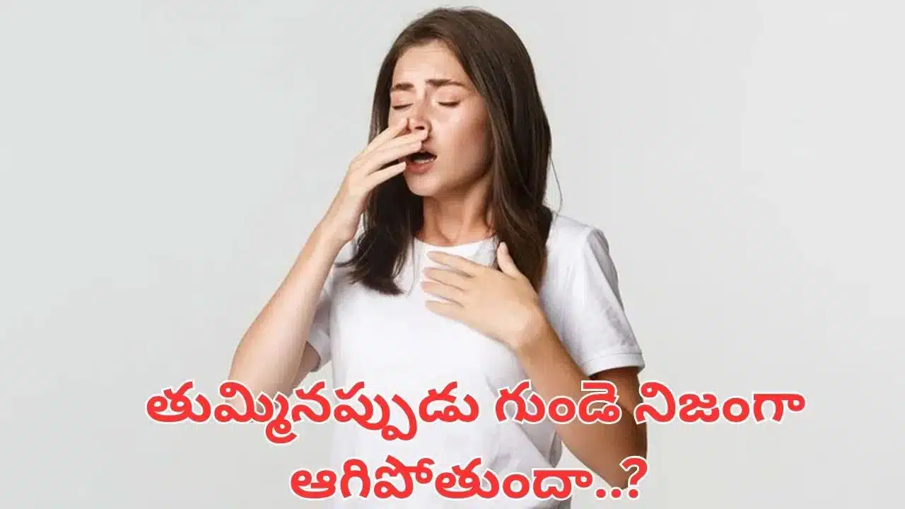 Heart | తుమ్మినప్పుడు గుండె ఆగిపోతుందా? .. వైద్య నిపుణులు చెబుతున్న అసలు విషయం ఇదే.!
