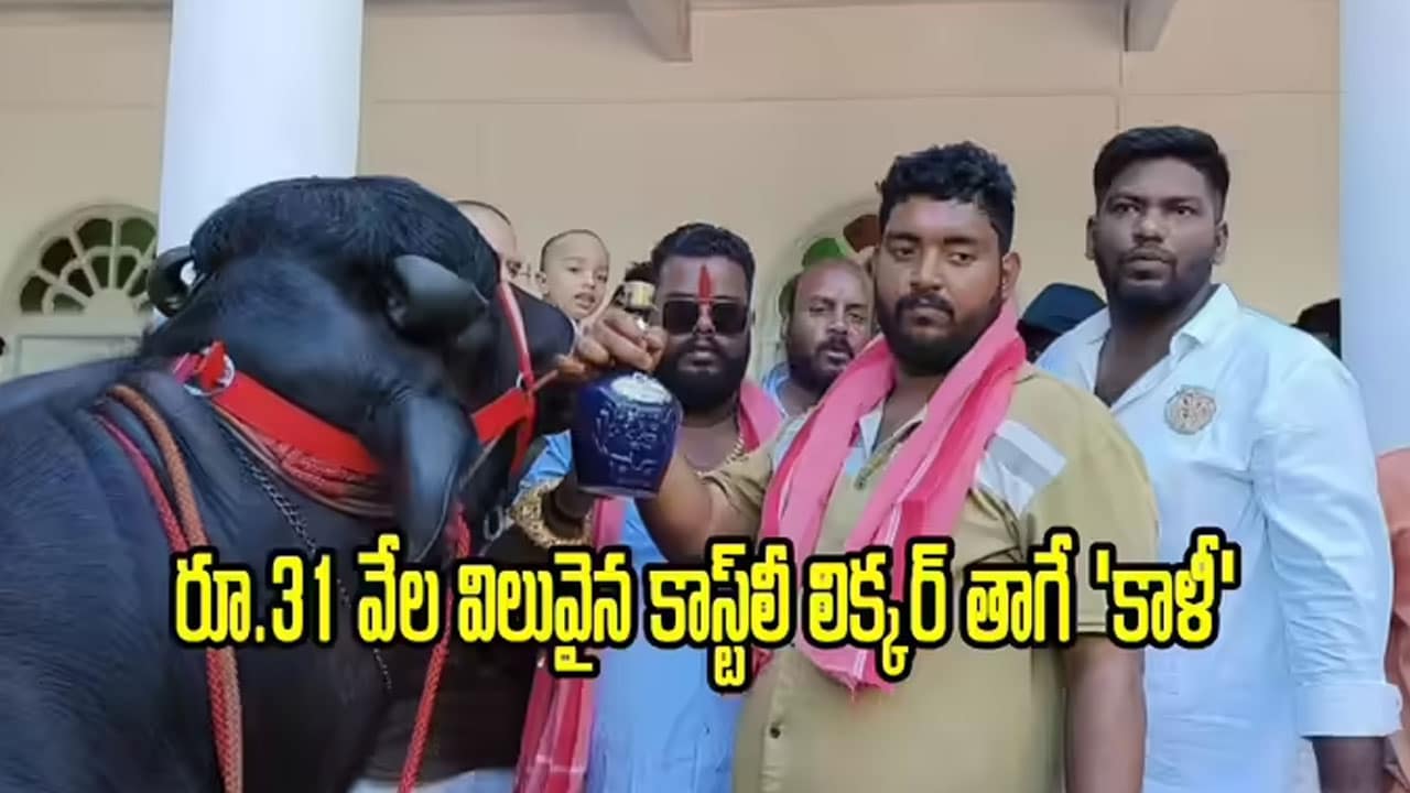 Dunna Raju | హైదరాబాద్లో సదర్ వేడుకలకు సర్వం సిద్ధం .. కాస్ట్లీ లిక్కర్ తాగే ‘కాళీ’
