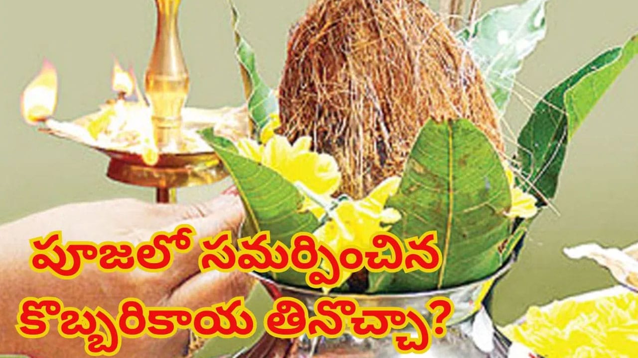 Coconut | పూజలో కలశంపై పెట్టిన కొబ్బరి కాయ తినొచ్చా.. పండితులు ఏం చెబుతున్నారంటే.!