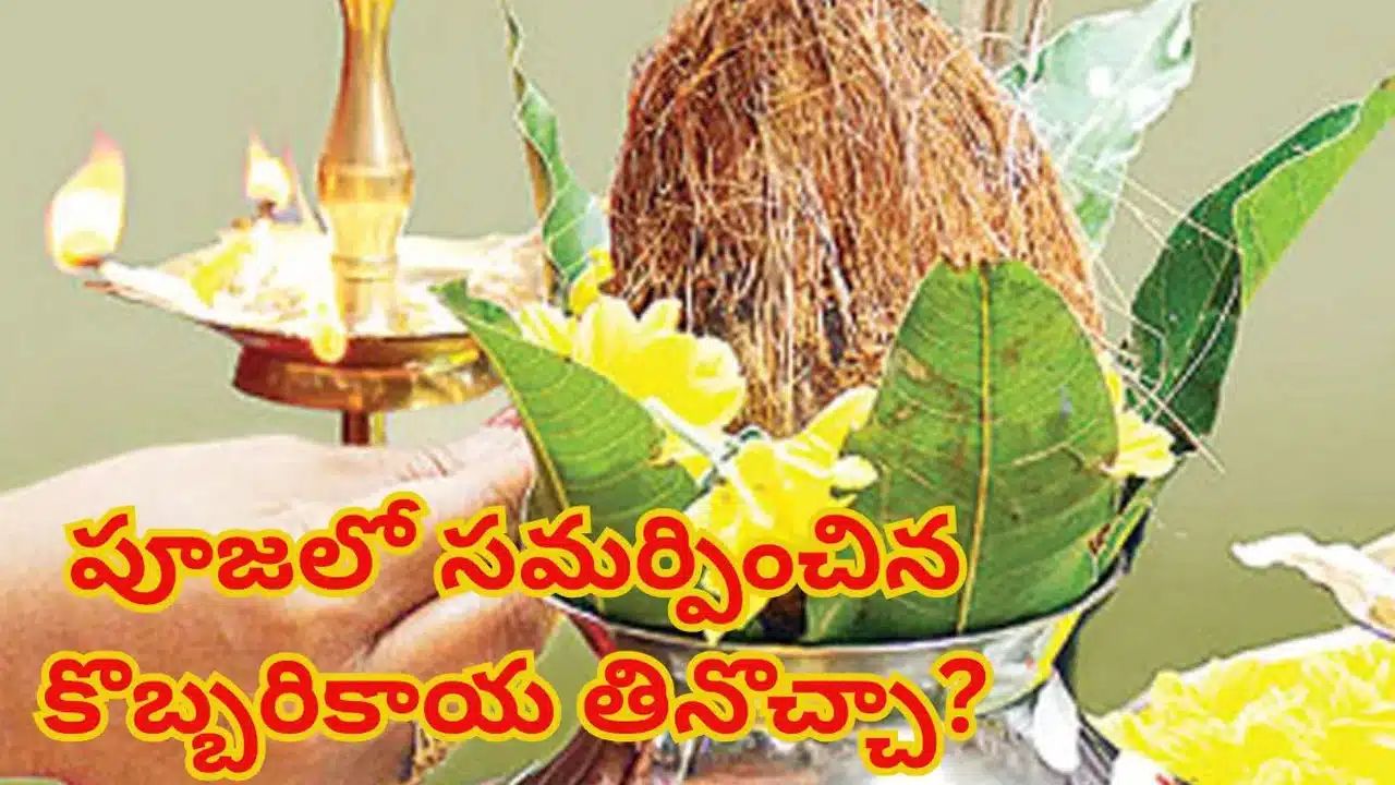 Coconut | పూజలో కలశంపై పెట్టిన కొబ్బరి కాయ తినొచ్చా.. పండితులు ఏం చెబుతున్నారంటే.!