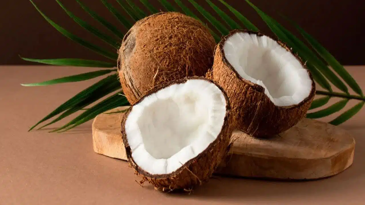 Coconut | పచ్చికొబ్బరి తింటే ఆరోగ్యానికి వరం ..బలం, జ్ఞాపకశక్తి, జీర్ణక్రియ…