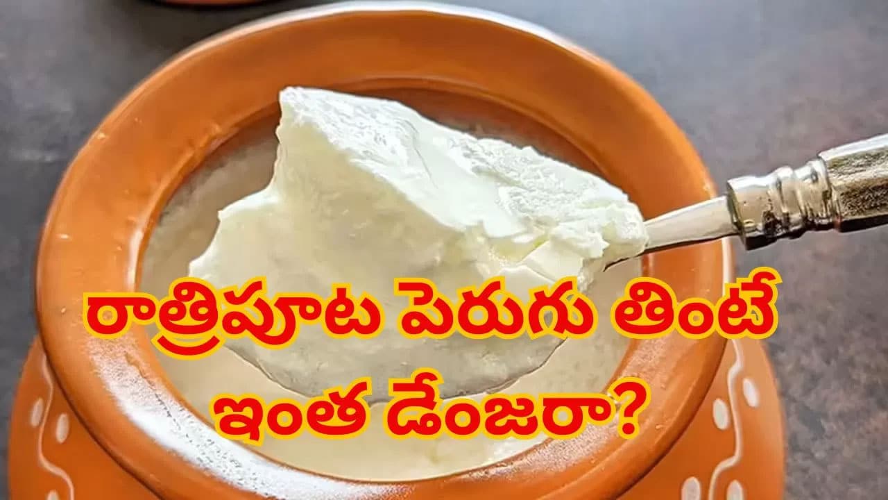 Curd | మధ్యాహ్నం పెరుగు తింటే ఆరోగ్యమే.. రాత్రి తింటేనే హానికరం!