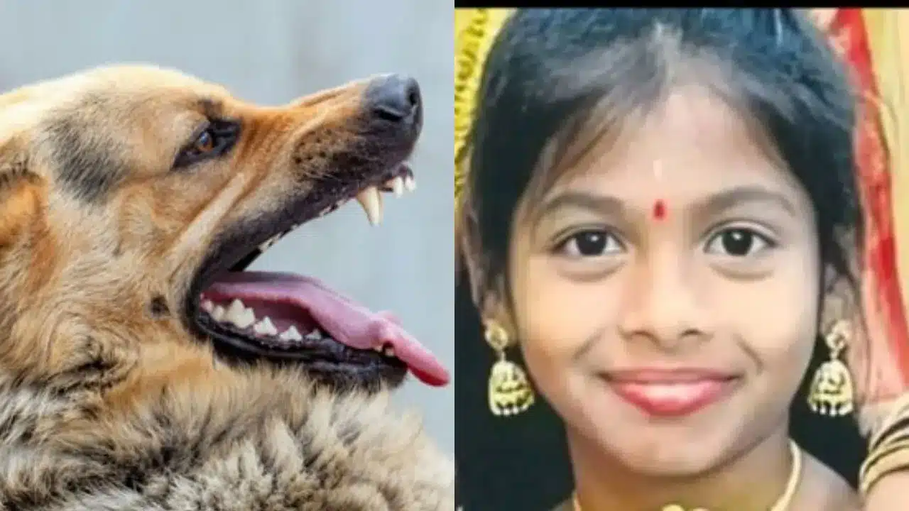 Dog | కుక్క కాటుతో 10ఏళ్ల బాలిక మృతి.. అయోమయానికి గురిచేసిన నిజామాబాద్ ఘటన