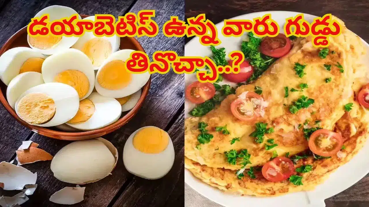 EGG | డయాబెటిస్ ఉన్నవారు గుడ్డు తింటే ఏమవుతుంది.. నిపుణులు ఏం చెబుతున్నారు?