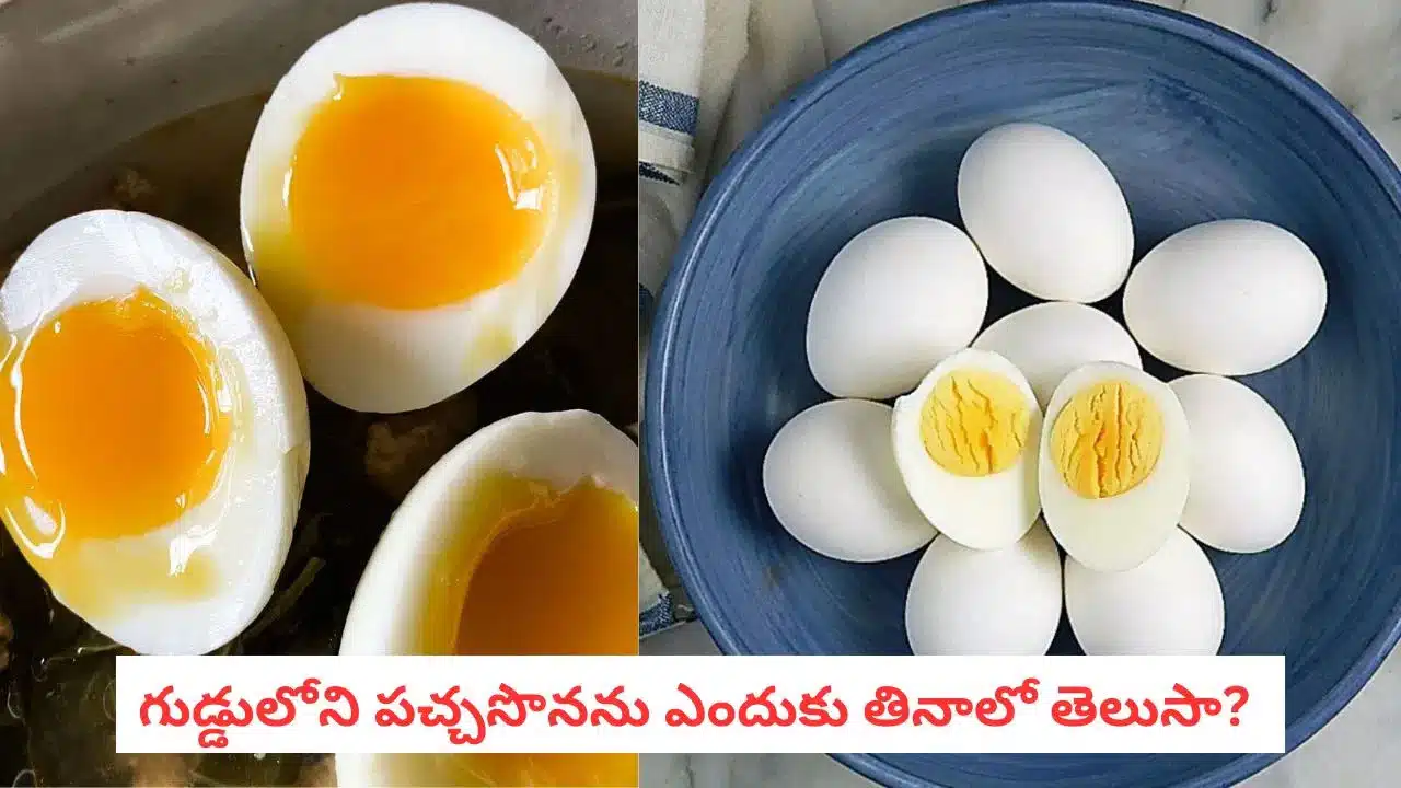 Egg Yolk | గుడ్డు పచ్చసొన తినాలా? వద్దా? .. తాజా పరిశోధనల్లో అసలు నిజం బయటపడింది!