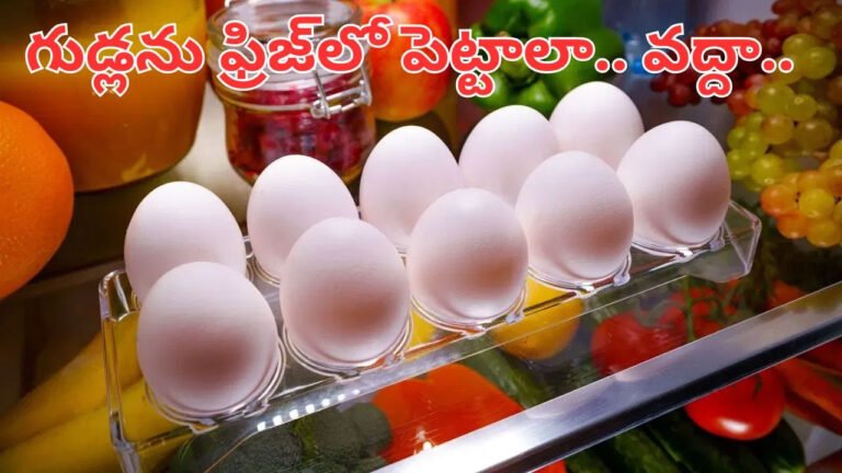 EGGS | ఇంట్లో గుడ్లను ఫ్రిజ్‌లో ఉంచాలా, లేక బయట ఉంచాలా? .. నిపుణుల సలహాలు
