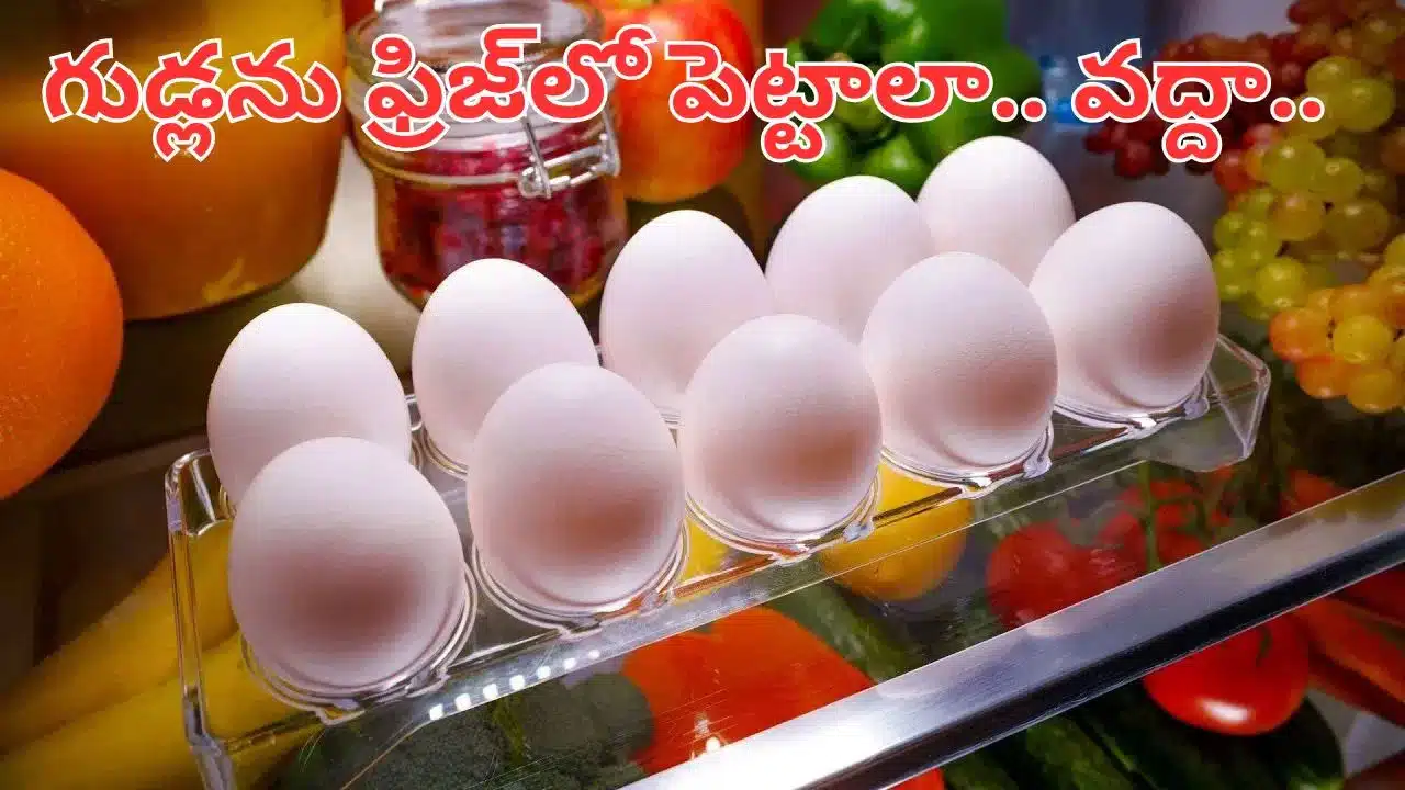 EGGS | ఇంట్లో గుడ్లను ఫ్రిజ్లో ఉంచాలా, లేక బయట ఉంచాలా? .. నిపుణుల సలహాలు