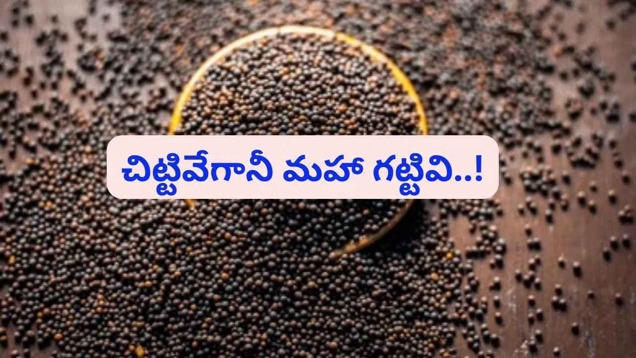 Mustard Seeds | ఆవాల అద్భుత గుణాలు.. ఆరోగ్యానికి, అందానికి అపూర్వమైన వరం!