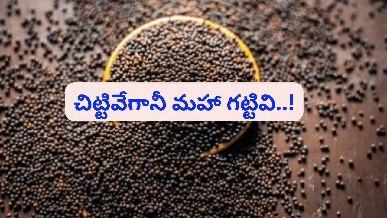 Mustard Seeds | ఆవాల అద్భుత గుణాలు.. ఆరోగ్యానికి, అందానికి అపూర్వమైన వరం!
