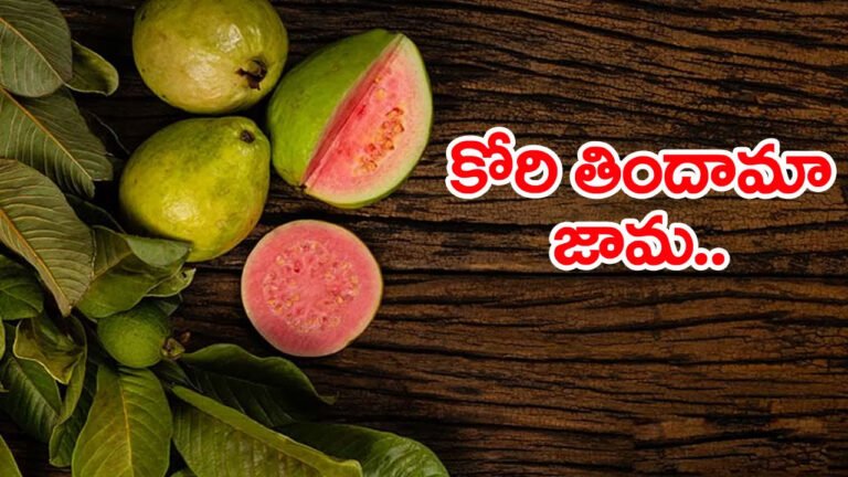 Healthy Diet | జామపండుతో ఆరోగ్య రక్షణ .. సరైన సమయంలో తింటే అద్భుత ప్రయోజనాలు