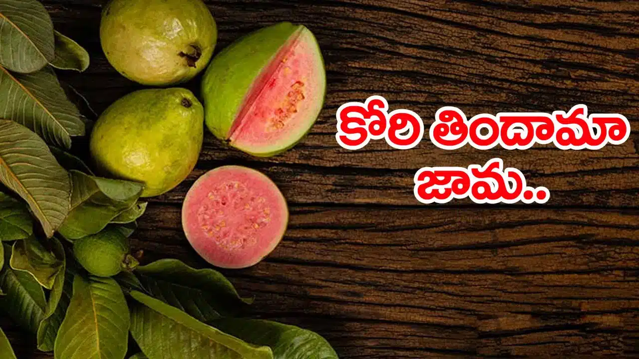 Healthy Diet | జామపండుతో ఆరోగ్య రక్షణ .. సరైన సమయంలో తింటే అద్భుత ప్రయోజనాలు