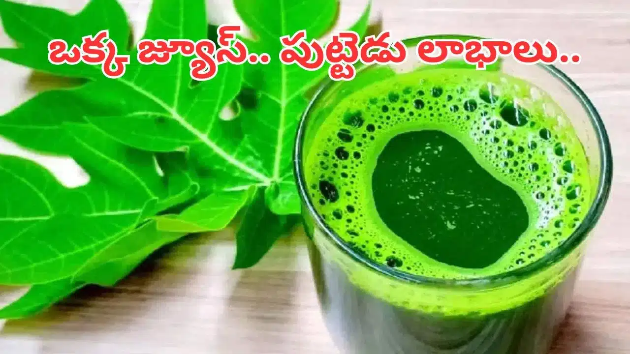 Papaya Leaf Juice | బొప్పాయి ఆకుల రసం అద్భుతమైన ప్రయోజనాలు .. డెంగ్యూ నుంచి మధుమేహం వరకు ఉపశమనం!