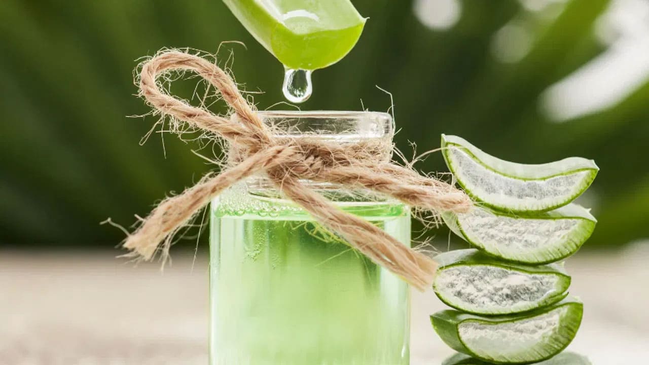 Aloe Vera Juice | కలబంద రసం ఆరోగ్య రహస్యం .. శరీరానికి మేలు, కానీ జాగ్రత్తలు తప్పనిసరి!