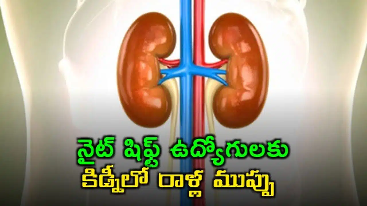 Night Shift Workers | రాత్రి షిఫ్ట్‌ల ఉద్యోగులకు పెరుగుతున్న ముప్పు.. కిడ్నీలో రాళ్ల ప్రమాదంపై తాజా అధ్యయనం హెచ్చరిక