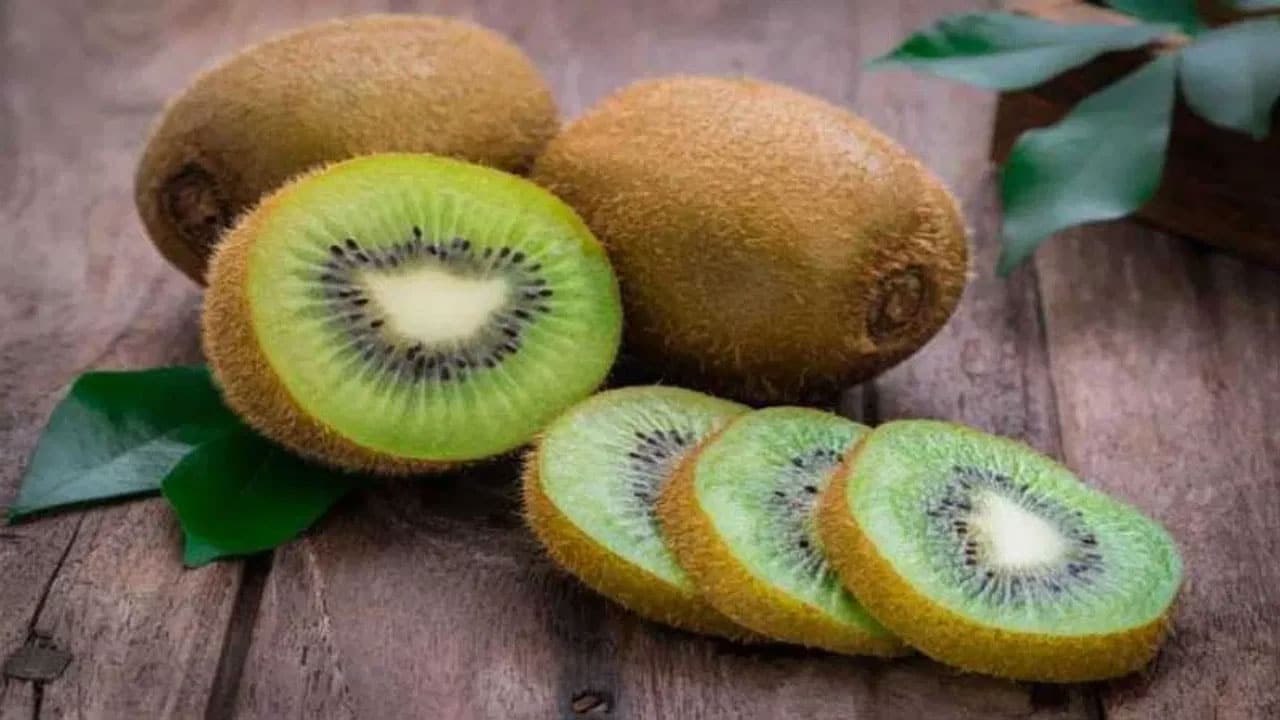 Kiwi Fruit | మలబద్ధకానికి కివి పండు అద్భుతమైన పరిష్కారం.. నిపుణుల హెచ్చరికలు