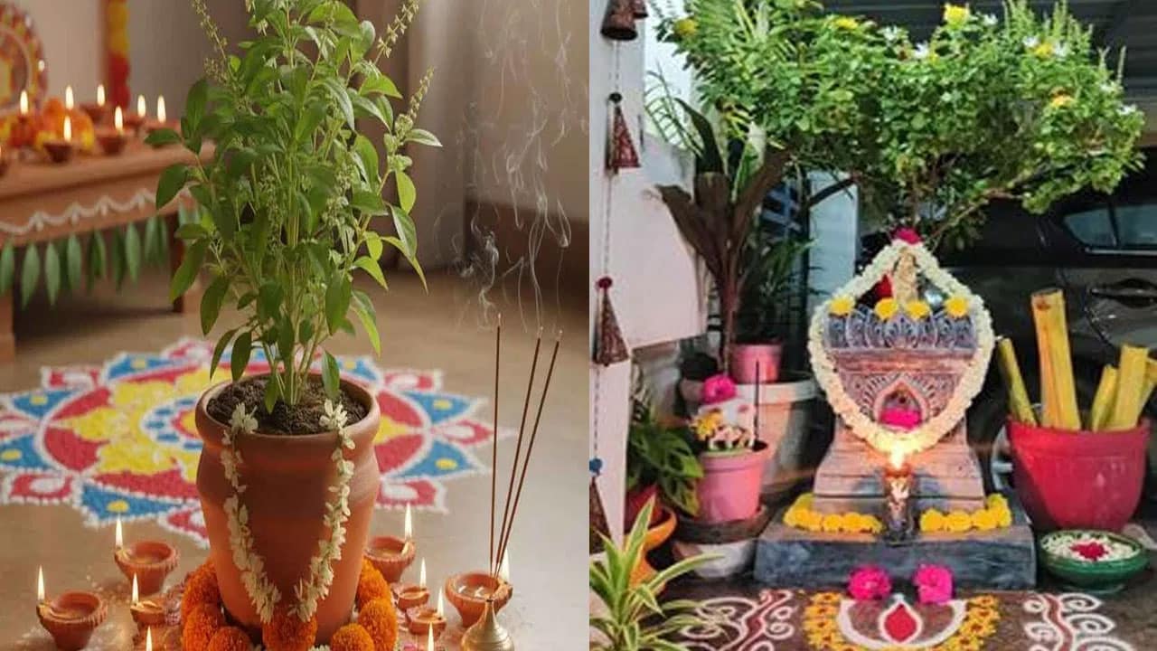 Diwali | లక్ష్మీ పూజతో పాటు తులసి పూజకు ప్రాధాన్యం .. శుభ ఫలితాల కోసం పాటించాల్సిన ప్రత్యేక ఆచారాలు