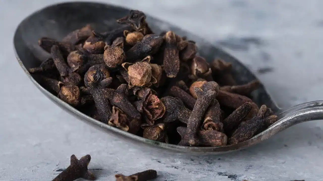Cloves | లవంగం తినడం వల్ల కలిగే అద్భుత లాభాలు .. ఈ చిన్న మొగ్గలో ఉన్న మహా శక్తి ఏంటంటే!