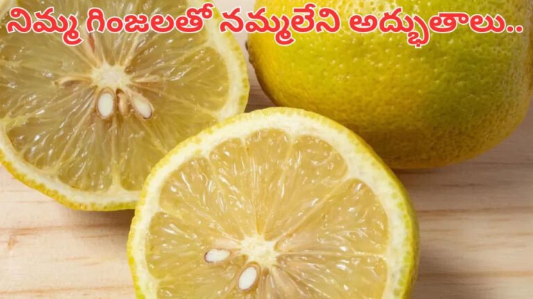 Lemon Seeds | అవి పారేయకండి ..నిమ్మగింజల్లో దాగి ఉన్న ఆరోగ్య రహస్యాలు ఇవే..!