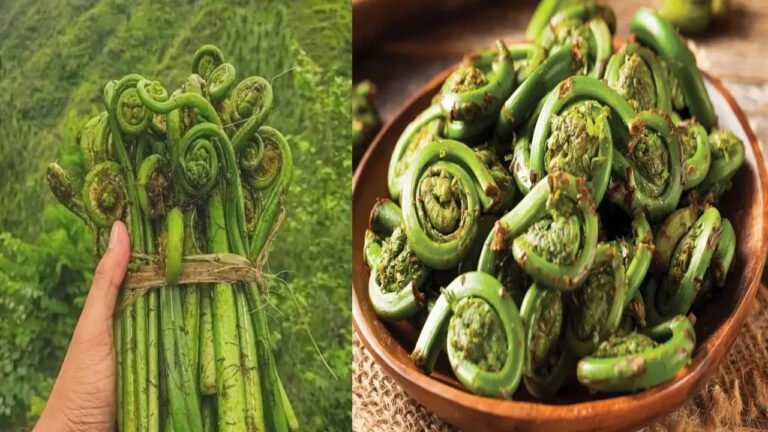 Lingad vegetable | హిమాచల్ అడవుల ‘లింగడ్‌’లో ఆరోగ్య రహస్యాలు .. గుండెకి ర‌క్ష‌ణ‌గా…