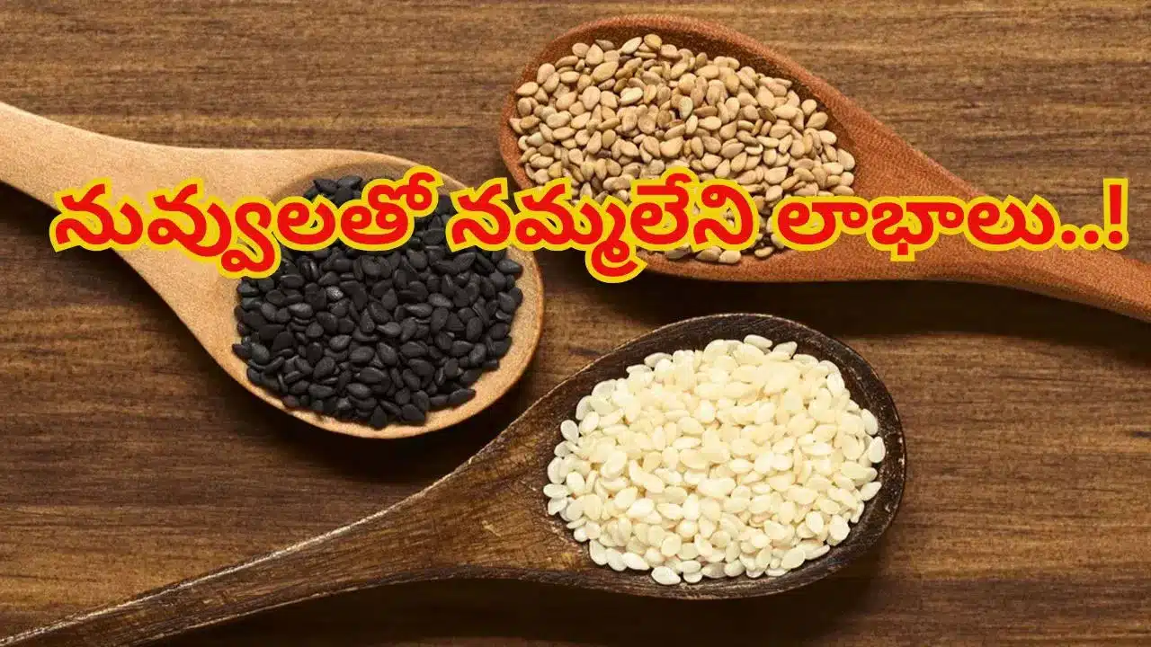 Sesame Seeds | శీతాకాలంలో నువ్వులు తినడం వల్ల కలిగే ఆశ్చర్యకరమైన ఆరోగ్య ప్రయోజనాలు ఏంటో తెలుసా?