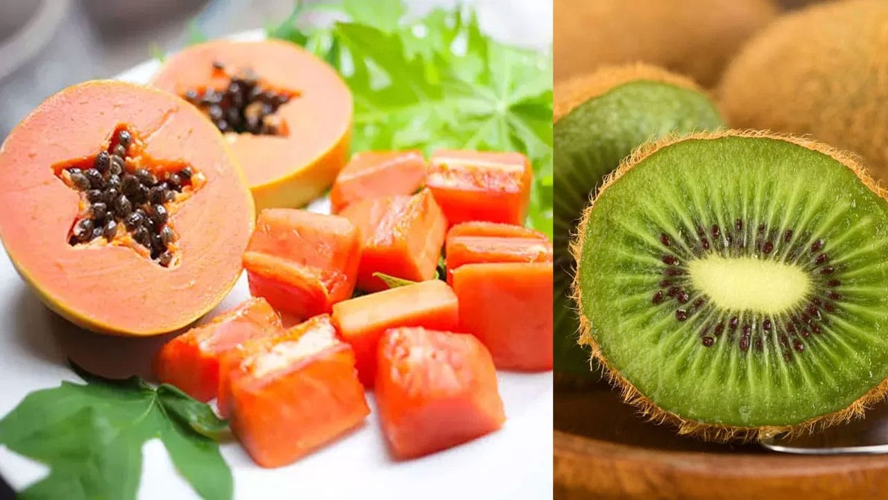 Kiwi vs Papaya | ప్లేట్‌లెట్లు పెంచడంలో కివి vs బొప్పాయి .. ఏది ఎక్కువ ఉపయోగకరం?