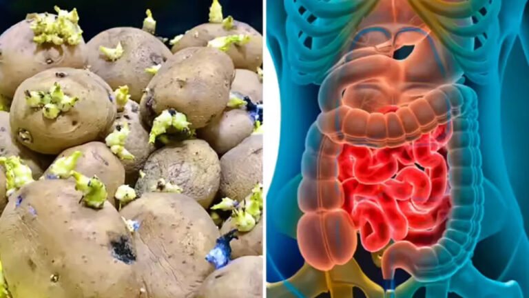 Potato | మొలకెత్తిన బంగాళాదుంపలు తినడం సురక్షితమా .. నిపుణుల హెచ్చరికలు తెలుసుకోండి
