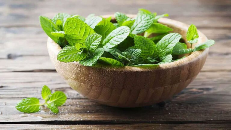 Mint Leaves | పుదీనా ఆకుల అద్భుత గుణాలు ..వంటల రుచితో పాటు ఆరోగ్యానికి కూడా మేలు