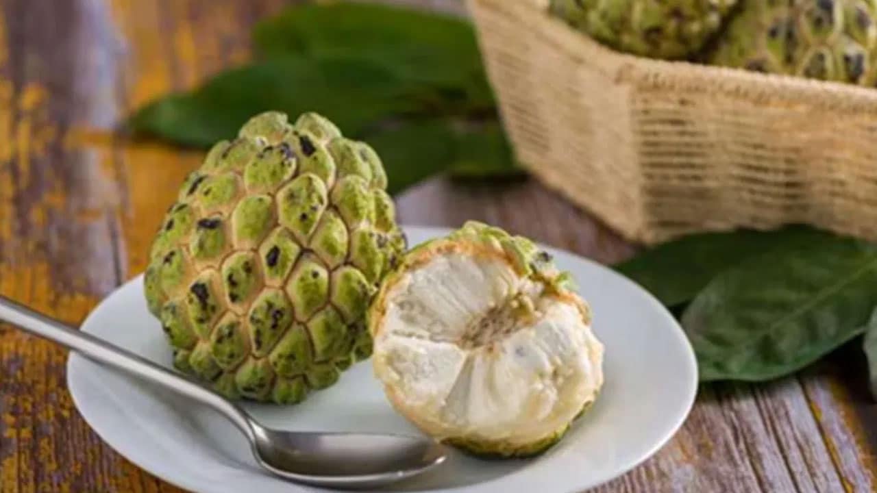 Health Tips | సీతాఫలం తినేటప్పుడు జాగ్రత్త .. జీర్ణ సమస్యలు ఉన్నవారు తినకండి