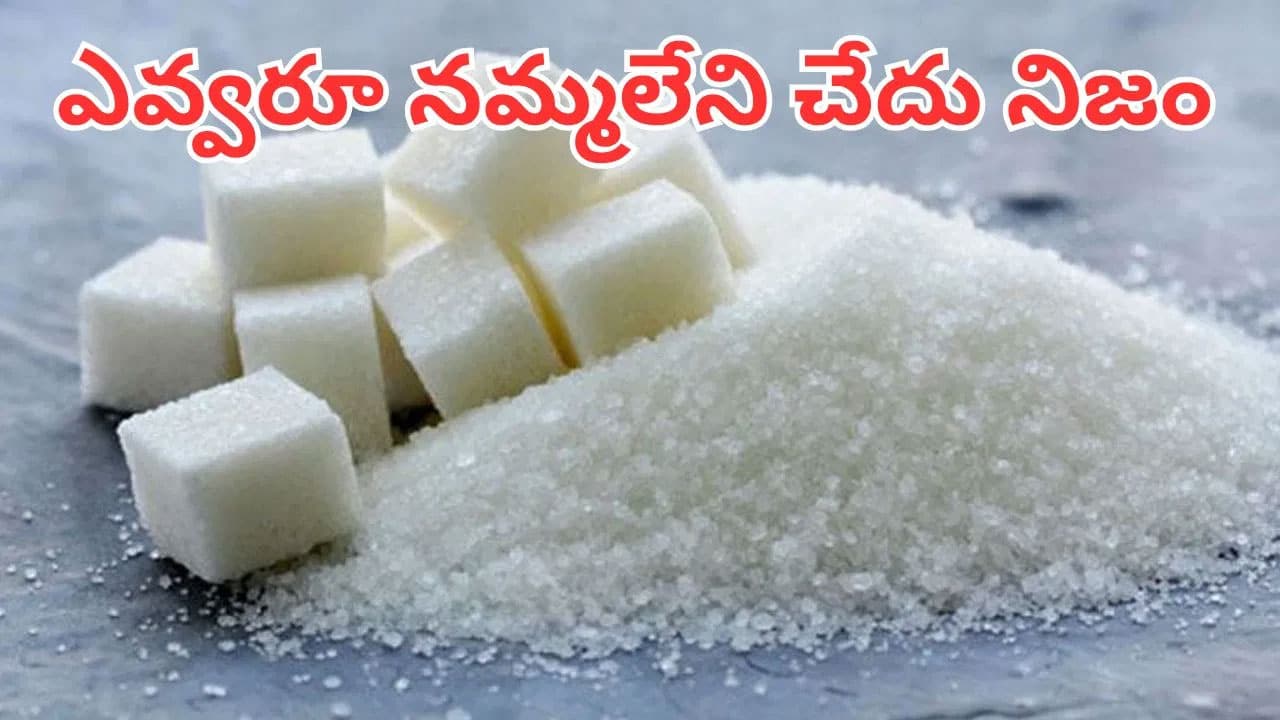Sugar | అధిక చక్కెర తీసుకోవడం వ‌ల‌న ఇంత న‌ష్ట‌మా.. కొత్త పరిశోధనల‌లో న‌మ్మ‌లేని నిజాలు
