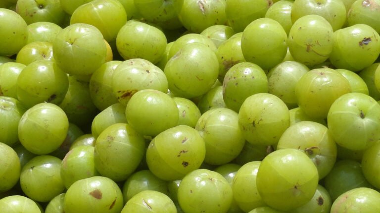 Amla | ఉసిరికాయ వల్ల రోగనిరోధక శక్తి పెరుగుతుంది… ఆరోగ్య ప్రయోజనాలెన్నో..!