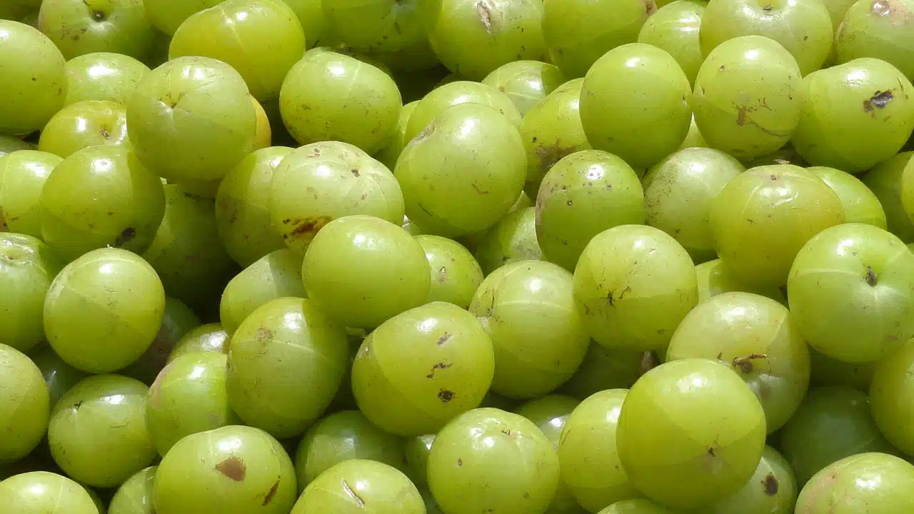 Amla | ఉసిరికాయ వల్ల రోగనిరోధక శక్తి పెరుగుతుంది… ఆరోగ్య ప్రయోజనాలెన్నో..!